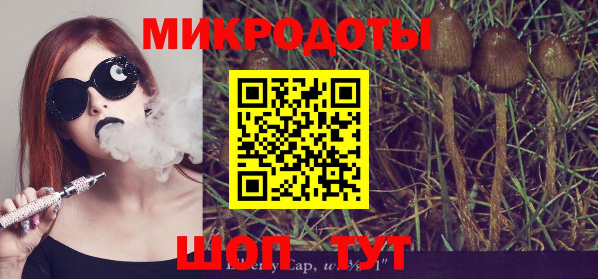 Псилоцибиновые грибы Котовск