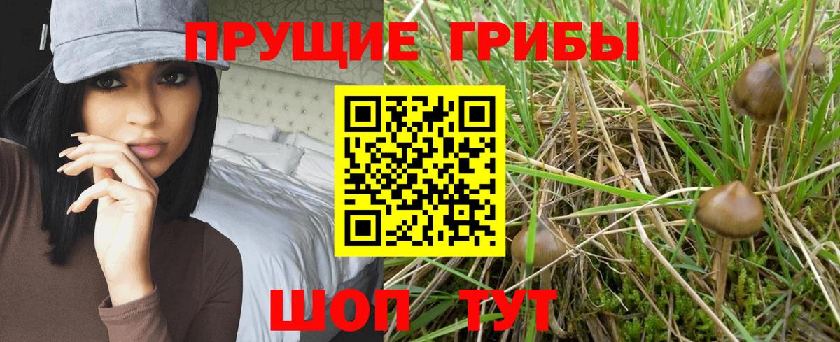 Псилоцибиновые грибы прущие грибы  Вход с VPN  Галлюциногенные грибы GOLDEN TEACHER  Котовск 