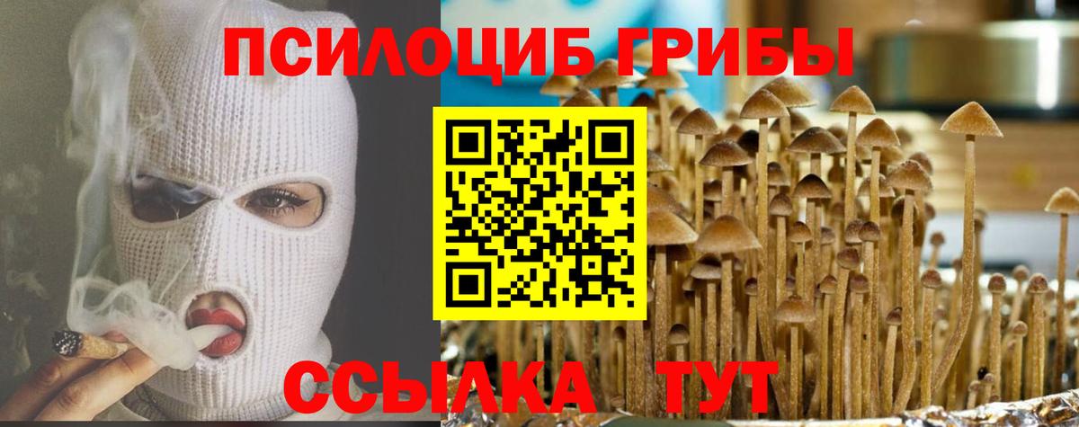 Псилоцибиновые грибы прущие грибы Котовск